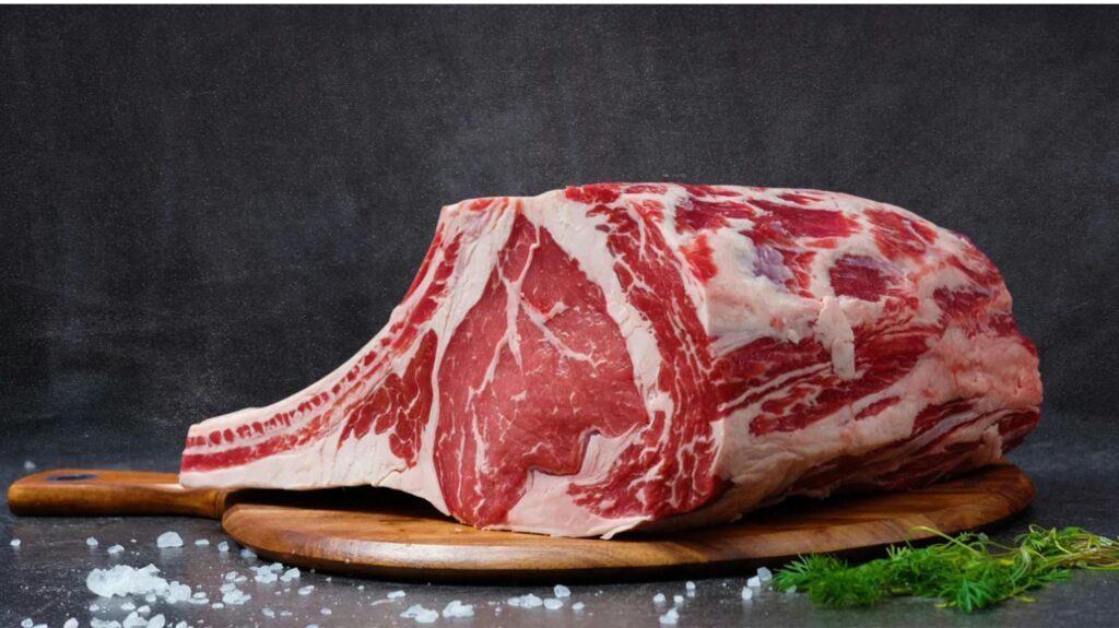 dieta karniwora carnivore diet