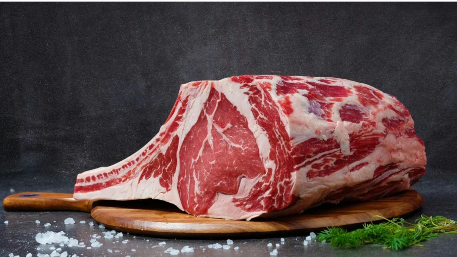 dieta karniwora carnivore diet